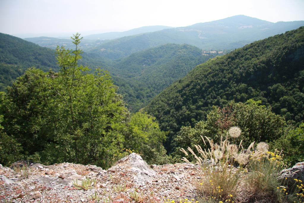 Appartamento Borgo Fango Montieri Esterno foto