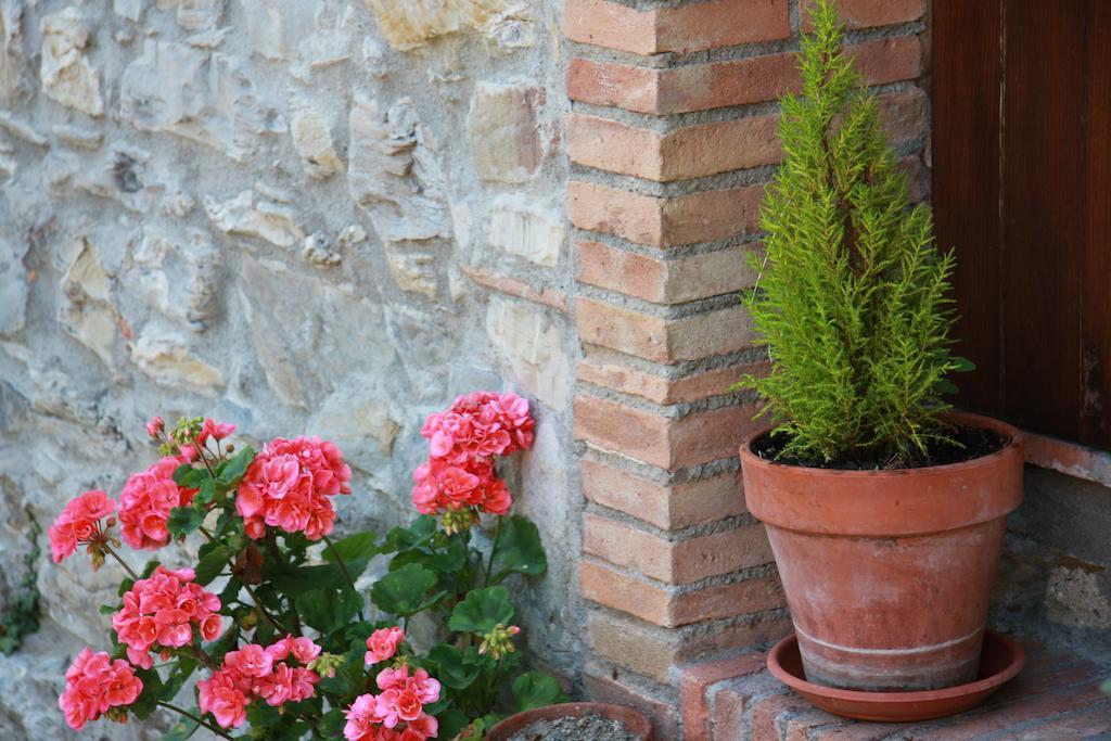Appartamento Borgo Fango Montieri Esterno foto