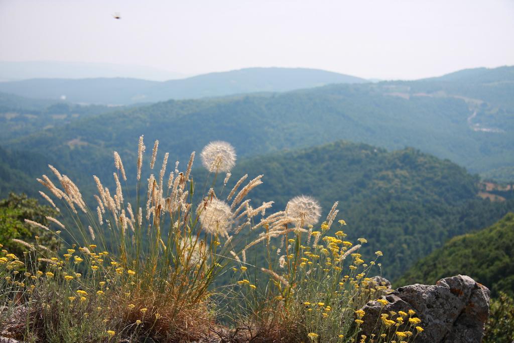 Appartamento Borgo Fango Montieri Camera foto